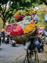 🌸 Wandering Blooms in Hanoi 🌸