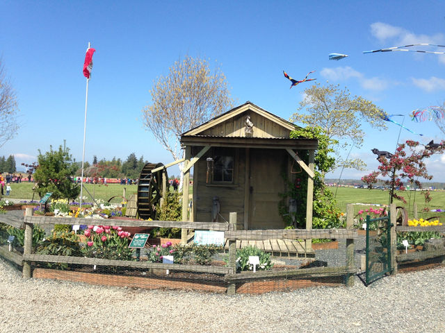 Skagit Valley Tulip Farm