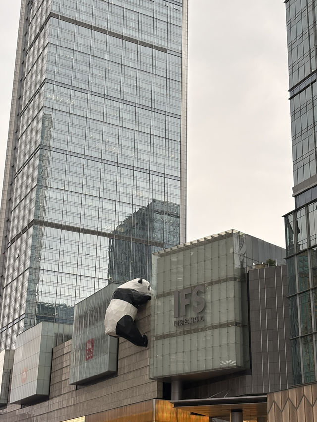 Chengdu Travel Diary: From Old Charm to Modern Glam 🐼🎋🧋🚂🍛