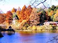 紅葉のムーミンバレーパーク、トーベ・ヤンソンあけぼの子どもの森公園と角川武蔵野ミュージアムを楽しむ一泊二日