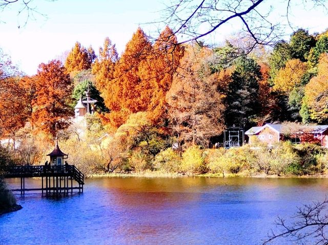 紅葉のムーミンバレーパーク、トーベ・ヤンソンあけぼの子どもの森公園と角川武蔵野ミュージアムを楽しむ一泊二日