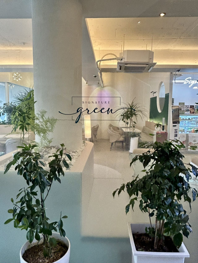 초록과 함께 편안한 시간 💚 초록과 함께 편안한 시간 💚