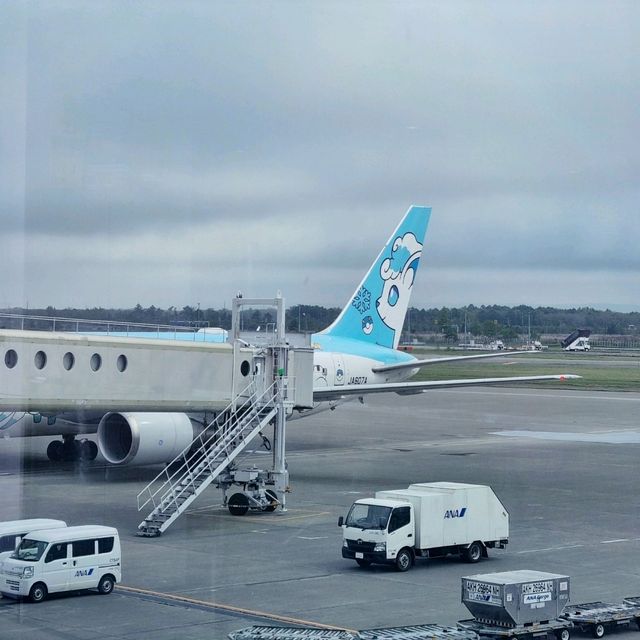 Tokyo adventure - perfect start and finish at the airports Tokyo adventure - perfect start and finish at the airports