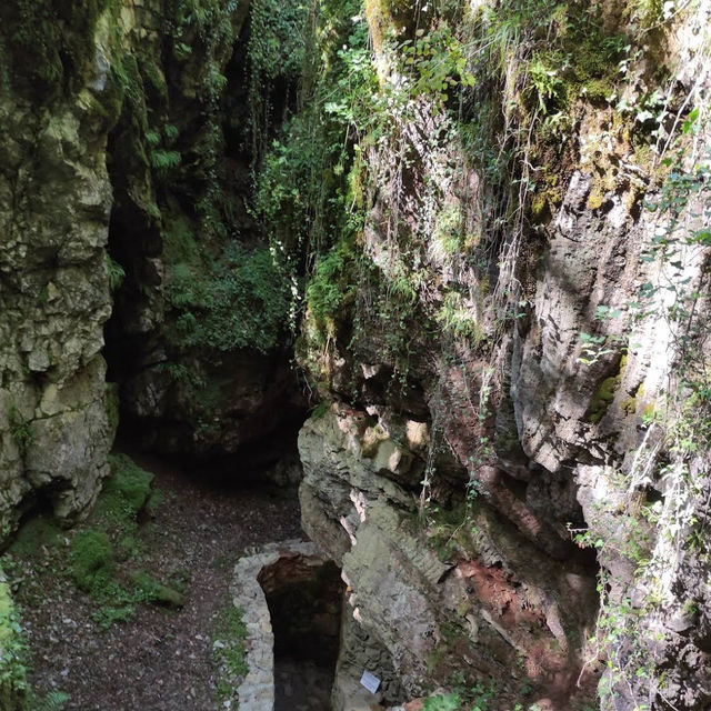 Divaška Cave – Gateway to the Karst Underground