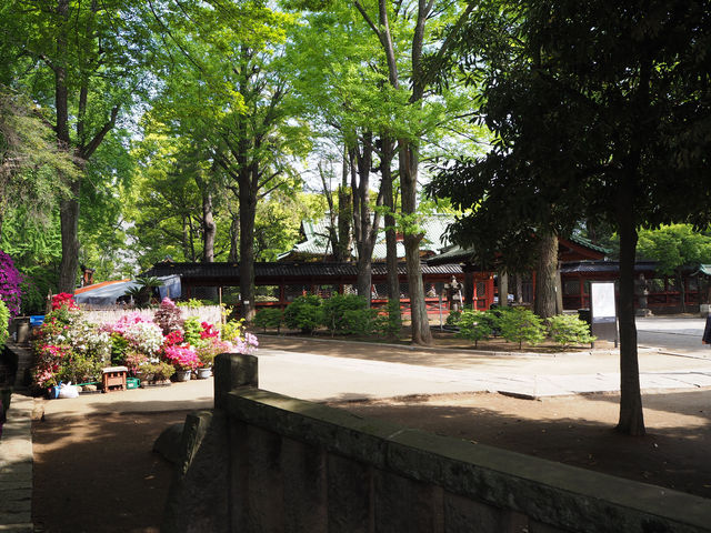 Nezu Shrine: Tokyo’s Timeless Sanctuary Nezu Shrine: Tokyo’s Timeless Sanctuary
