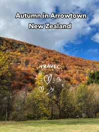 ใบไม้เปลี่ยนสีที่สวยที่สุดใน New Zealand🍁