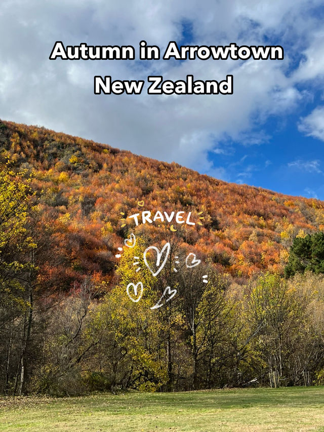 ใบไม้เปลี่ยนสีที่สวยที่สุดใน New Zealand🍁