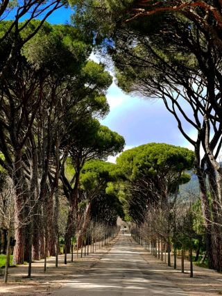 สวนที่ไม่ควรพลาดสำหรับการพักผ่อนหลีกหนีความวุ่นวายในช่วงฤดูใบไม้ร่วง