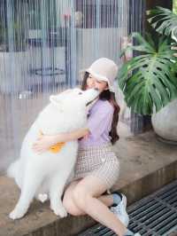 Joint.s Cafe เชียงใหม่🐶🐈