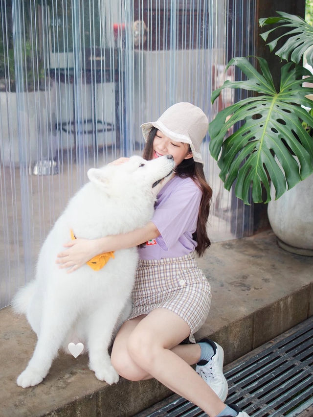 Joint.s Cafe เชียงใหม่🐶🐈