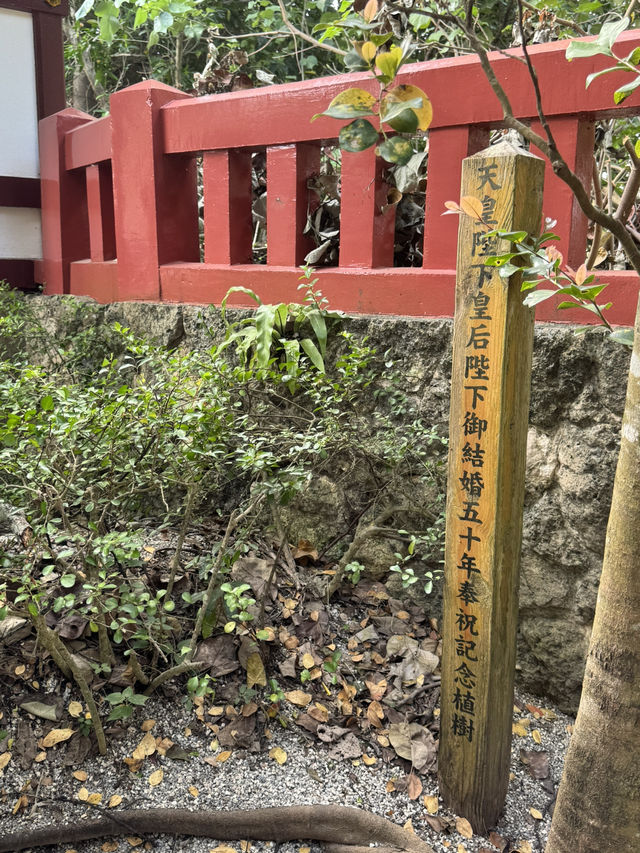 日本神社|龍口吐泉的淨水亭——以清泉洗手漱心,在水聲裡跨越凡俗與神域的界限 日本神社|龍口吐泉的淨水亭——以清泉洗手漱心,在水聲裡跨越凡俗與神域的界限