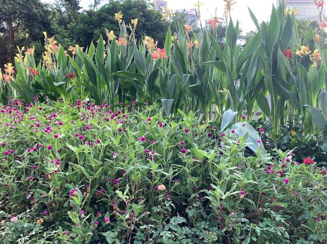 Hong Kong Zoological and Botanical Gardens
