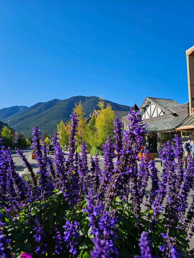 Takakkaw City Takakkaw City