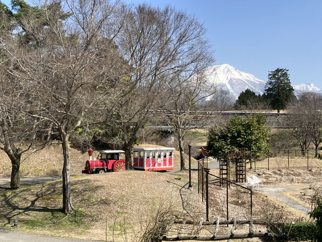 鳥取花廻廊