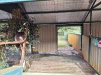 Must-visit places in Caversham Wildlife Park