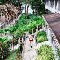 ☕🌴 Amari Phuket · Seaside Coffee Moment