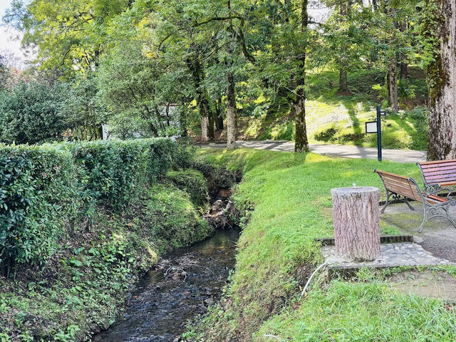 Batumi Botanical Garden