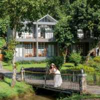 🌳🌱Flora Creek Chiang Mai ที่พักกลางขุนเขา