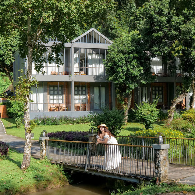 🌳🌱Flora Creek Chiang Mai ที่พักกลางขุนเขา