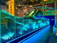 Hands-On Fun at the Hong Kong Science Museum
