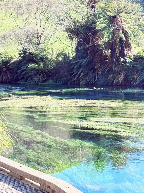 💙 Blue Spring: Earth’s Liquid Crystal in Pure NZ! 🌿