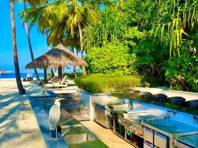 Conrad Maldives Rangali Island – Iconic Overwater Experience