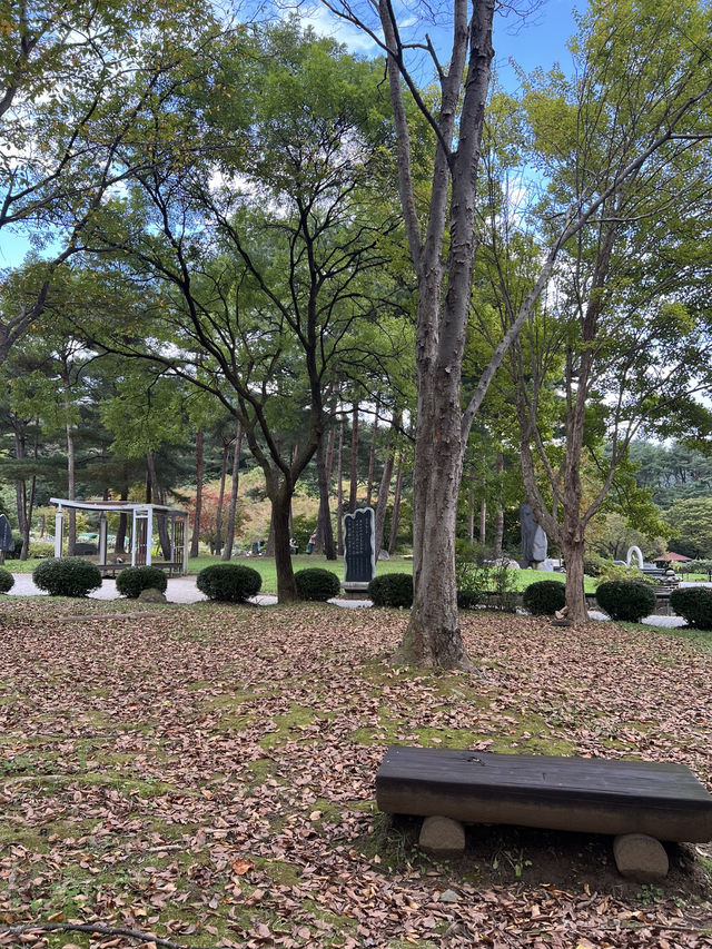 아름다운 가을 공원🌳