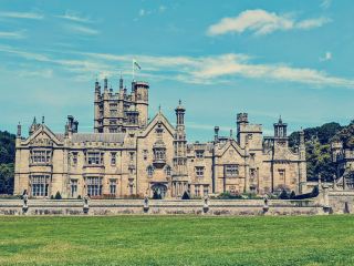 Solo Sanctuary: Finding Peace & Dragons at Margam Park