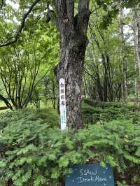北海道美瑛町—拓真館