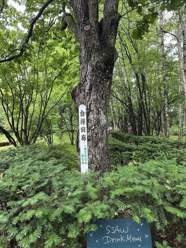 北海道美瑛町—拓真館