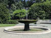 Brooklyn Botanic Garden