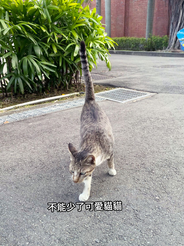 台中舊酒廠文化園區-慢慢走逛好去處🐢 台中舊酒廠文化園區-慢慢走逛好去處🐢