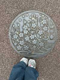 🏞️เดินเล่นชมใบไม้เปลี่ยนสีใน Ueno Park