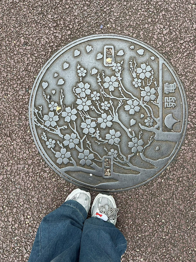 🏞️เดินเล่นชมใบไม้เปลี่ยนสีใน Ueno Park  🏞️เดินเล่นชมใบไม้เปลี่ยนสีใน Ueno Park