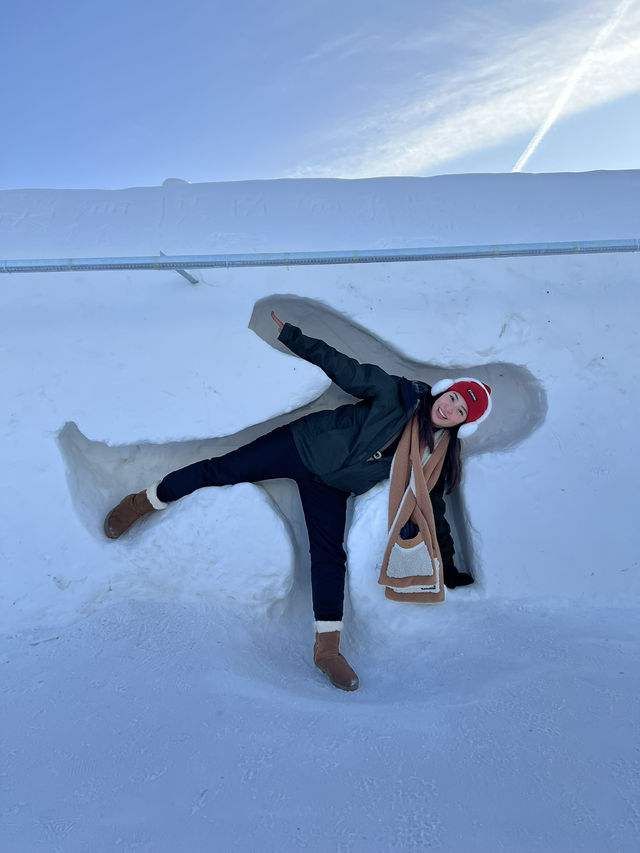 Harbin Snow ⛄️ Time ❄️  Harbin Snow ⛄️ Time ❄️