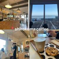 小樽おすすめ宿泊プラン🏝️🏨🍣