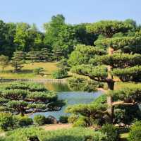 Chicago Botanic Garden – A Verdant Oasis of Beauty and Learning