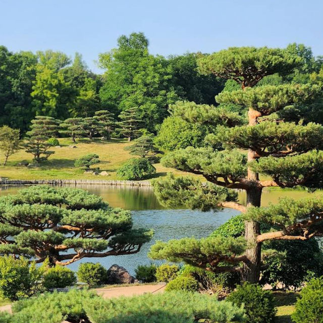 Chicago Botanic Garden – A Verdant Oasis of Beauty and Learning