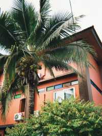 ☕️ Чианграй — где пить кофе?