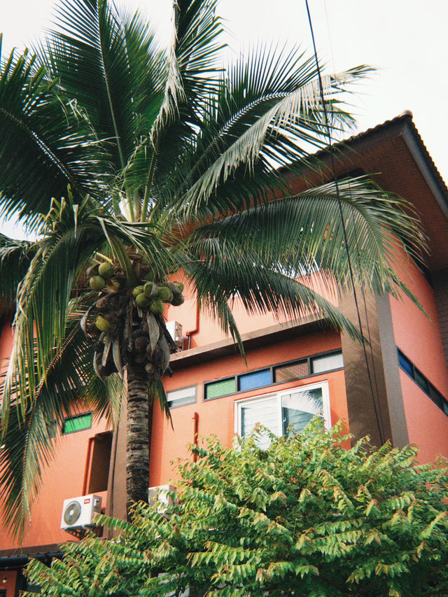 ☕️ Чианграй — где пить кофе? ☕️ Чианграй — где пить кофе?