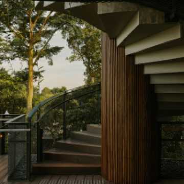 Whispers of the Wild