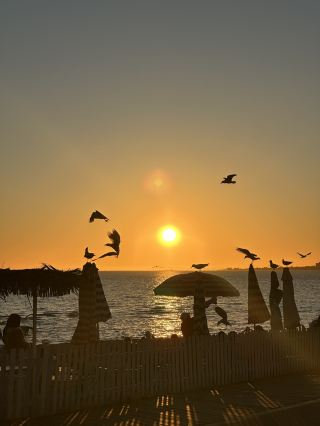 🇦🇺Golden Hour Magic at St Kilda Beach🌅 