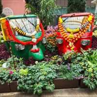 Blooming Beauty in the Flower Dome 🌸