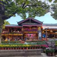 Lost in the Magic of Lijiang Old Town