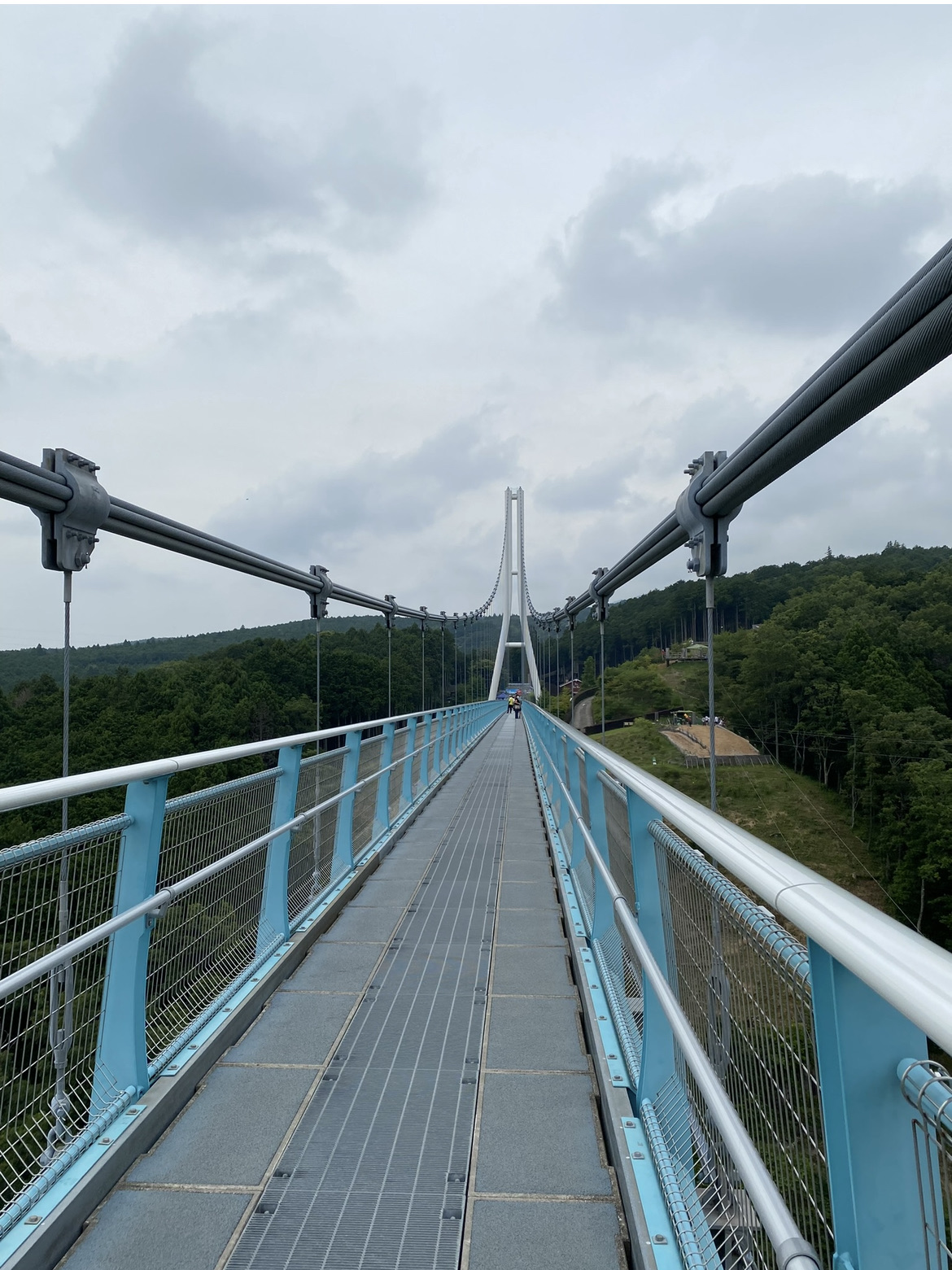 ドライブの休憩で立ち寄るのもおすすめ🎶 お花が可愛い三島スカイ