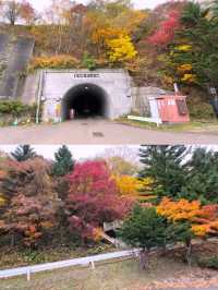🍁札幌必打卡！深秋豐平峽水庫紅葉絕景全攻略