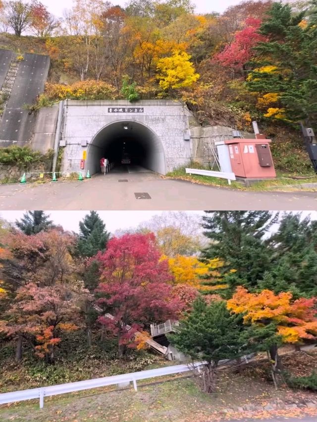 🍁札幌必打卡！深秋豐平峽水庫紅葉絕景全攻略
