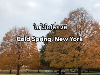 ใบไม้เปลี่ยนสีที่ Cold Spring, New York 