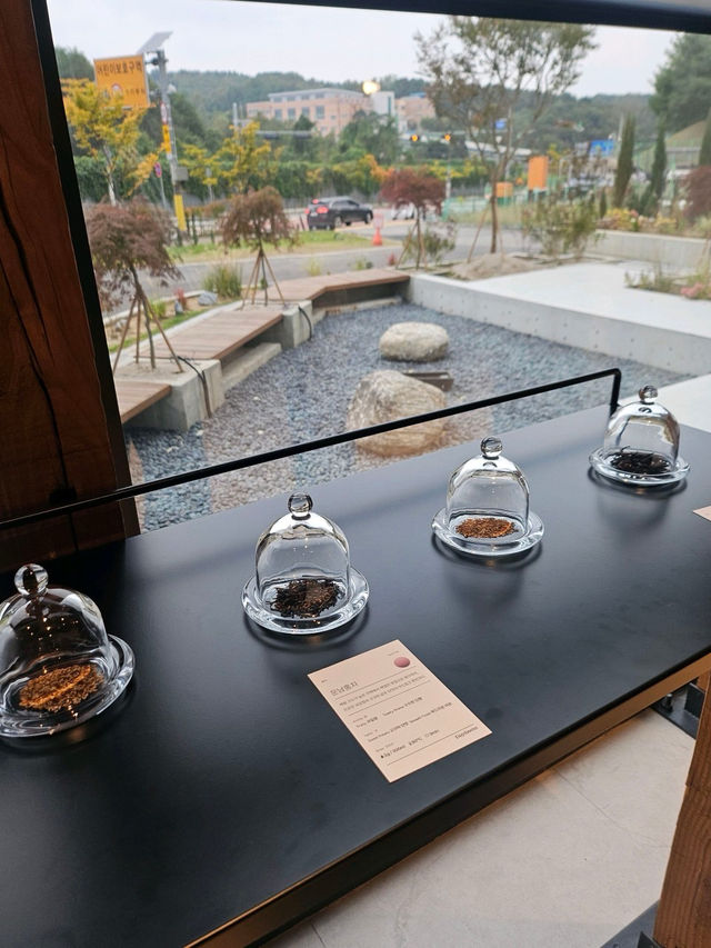 🖌️한적한🩷용인 대형 카페 데이던스