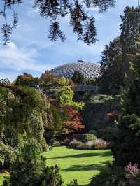 Queen Elizabeth Park